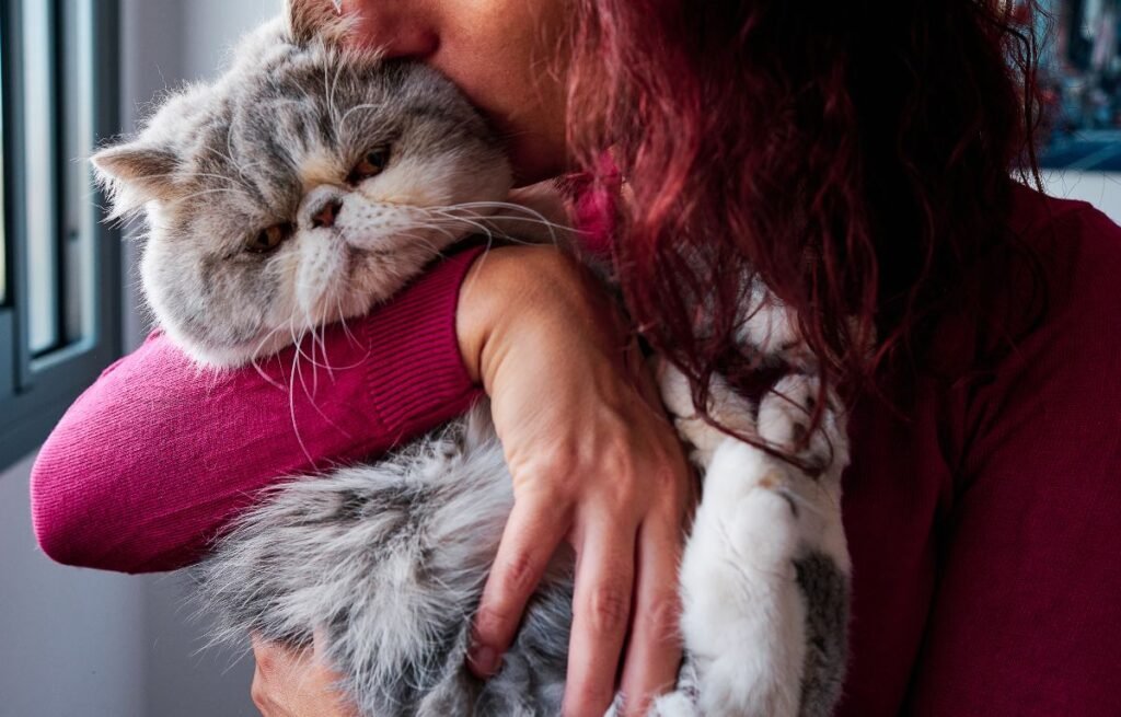 Why Does My Cat Not Want to Cuddle Anymore - Woman holding her cat that doesn’t want to cuddle anymore, representing why a cat avoids affection.