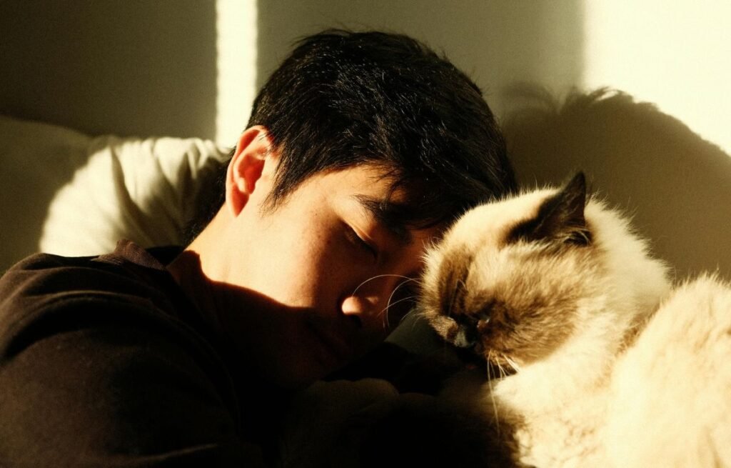 Why does my cat sleep on my head — a man resting with a fluffy cat cuddled closely against his face in warm sunlight.