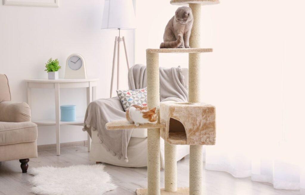 Why Isn’t My Cat Playing Anymore — two cats on a cat tree showing low interest in play