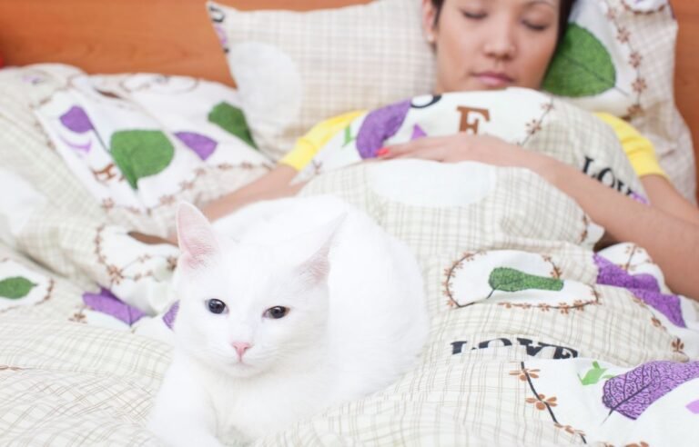 white cat sleeping on bed near its owner – Why Won’t My Cat Sleep Alone?