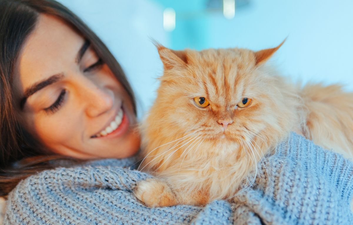 A relaxed ginger cat resting calmly in its owner’s arms while avoiding direct eye contact, showing trust and comfort – Is It Normal for Cats to Avoid Eye Contact With Their Owners?